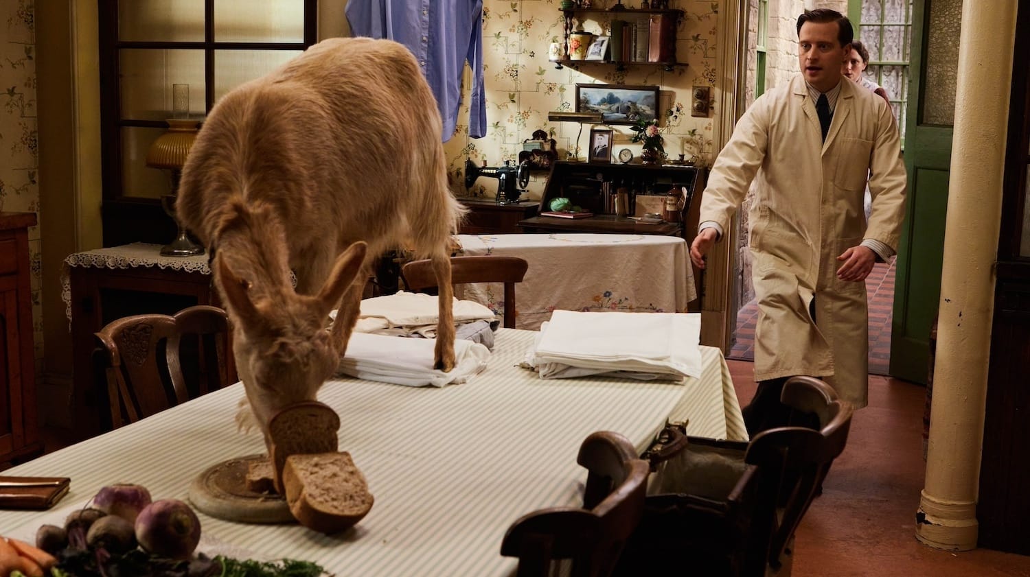 James Herriot (Nicholas Ralph) chases a goat in the kitchen.