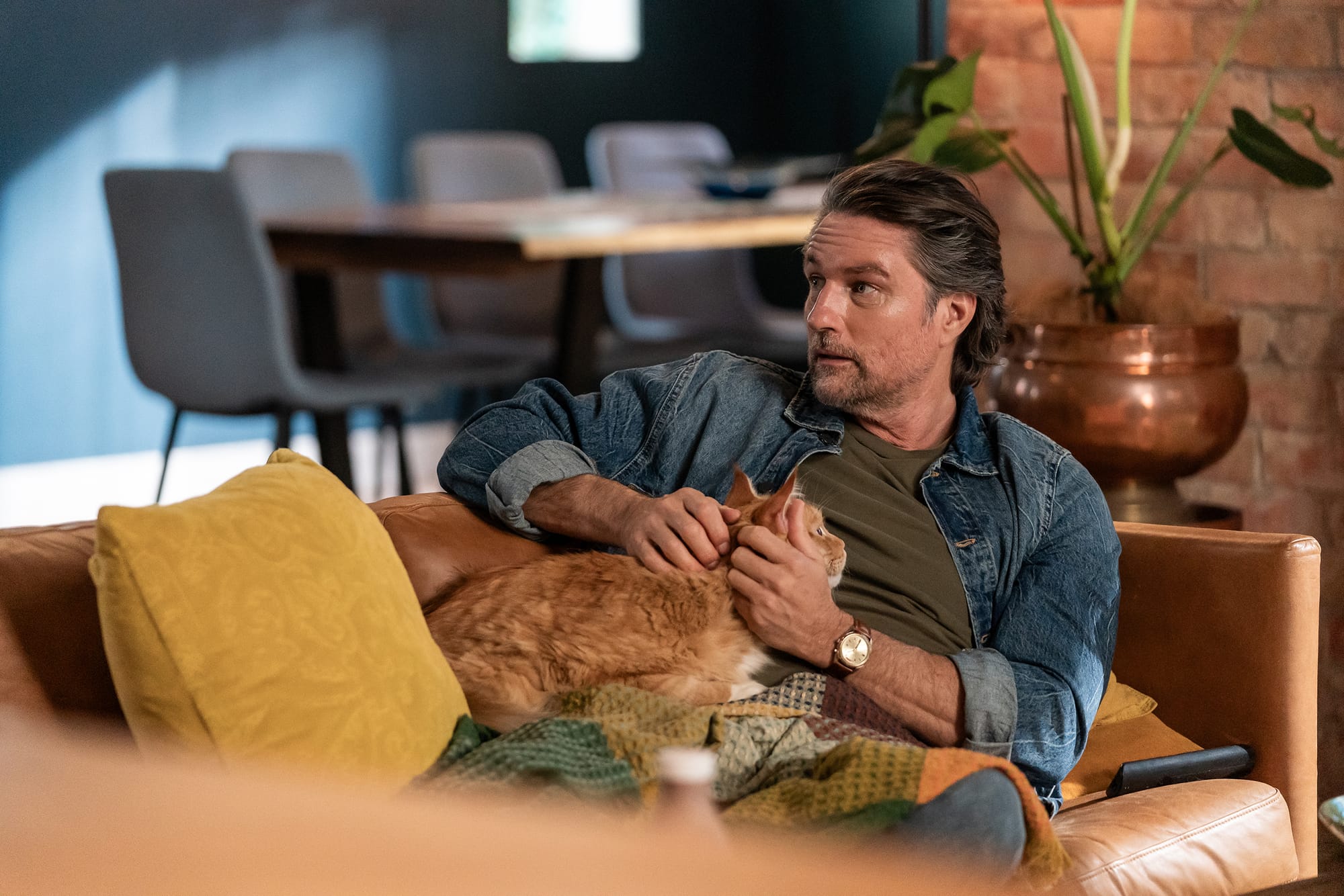 Zeppelin as Chowder the Cat gets a full head rub from Martin Henderson as Will Crowe in 'My Life Is Murder' Season 4