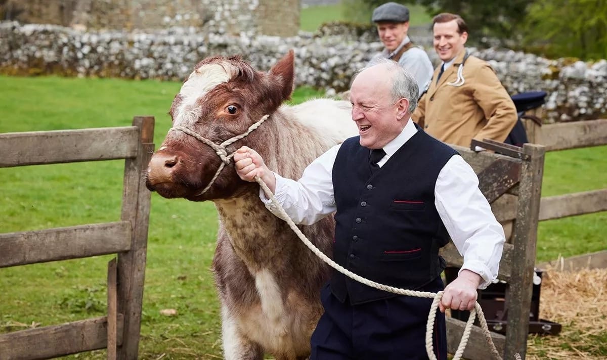 Postman/amateur veterinarian Mr. Oakley (Nicholas Collett) takes the cow for a gallop as Sid Crabtree (Ryan Hawley) and James Herriot (Nicholas Ralph) look on.&nbsp;
