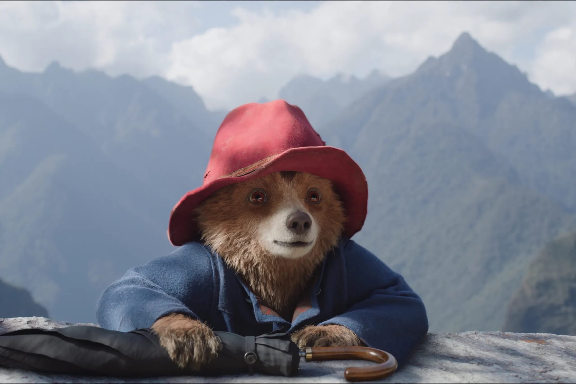 Everyone's favorite bear in the "Paddington in Peru" trailer