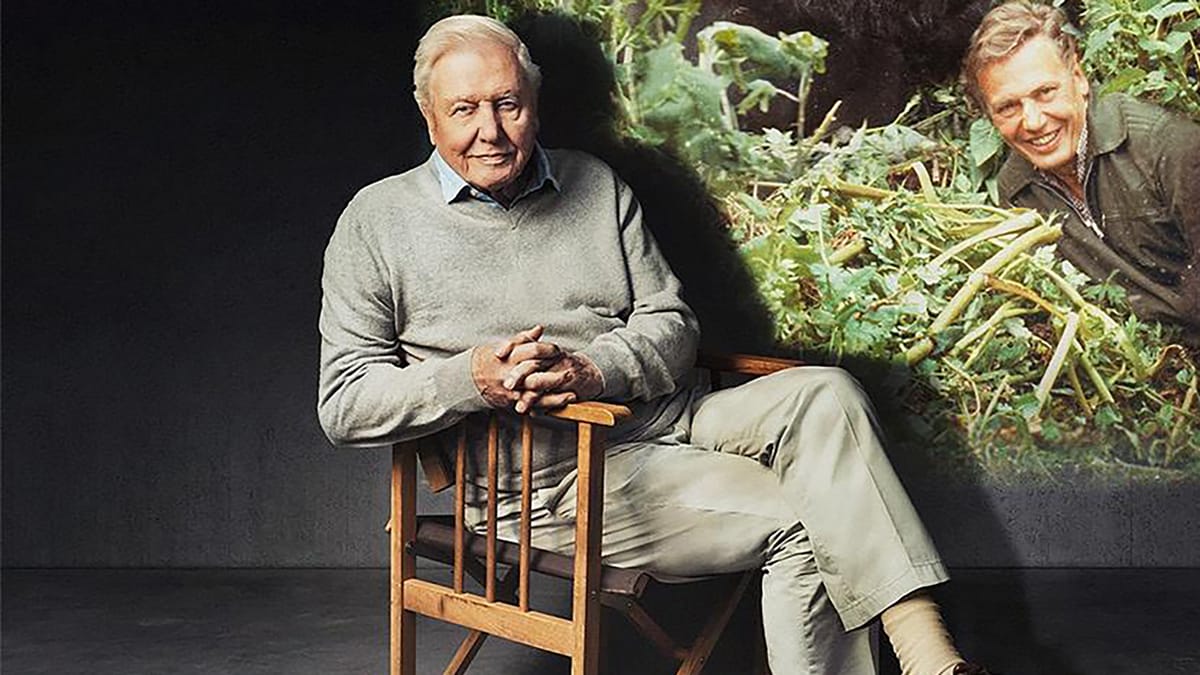 Life on Earth: Attenborough’s Greatest Adventure Key Art 
