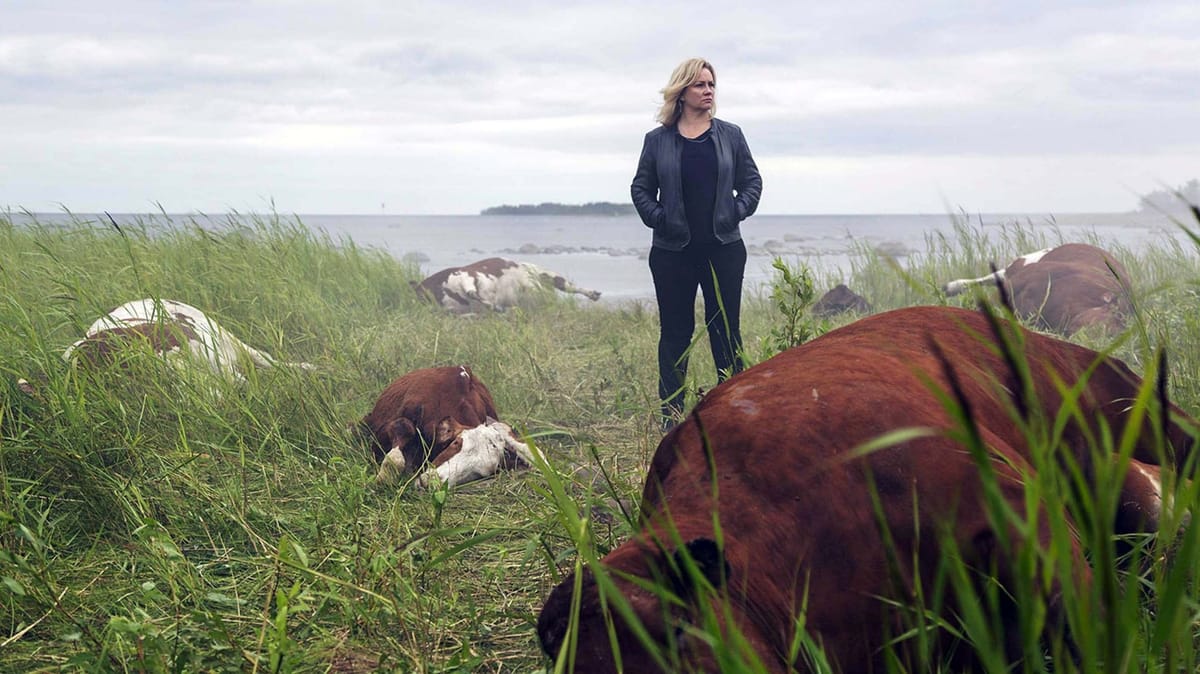 Where To Start With Walter's Choice/Walter Presents