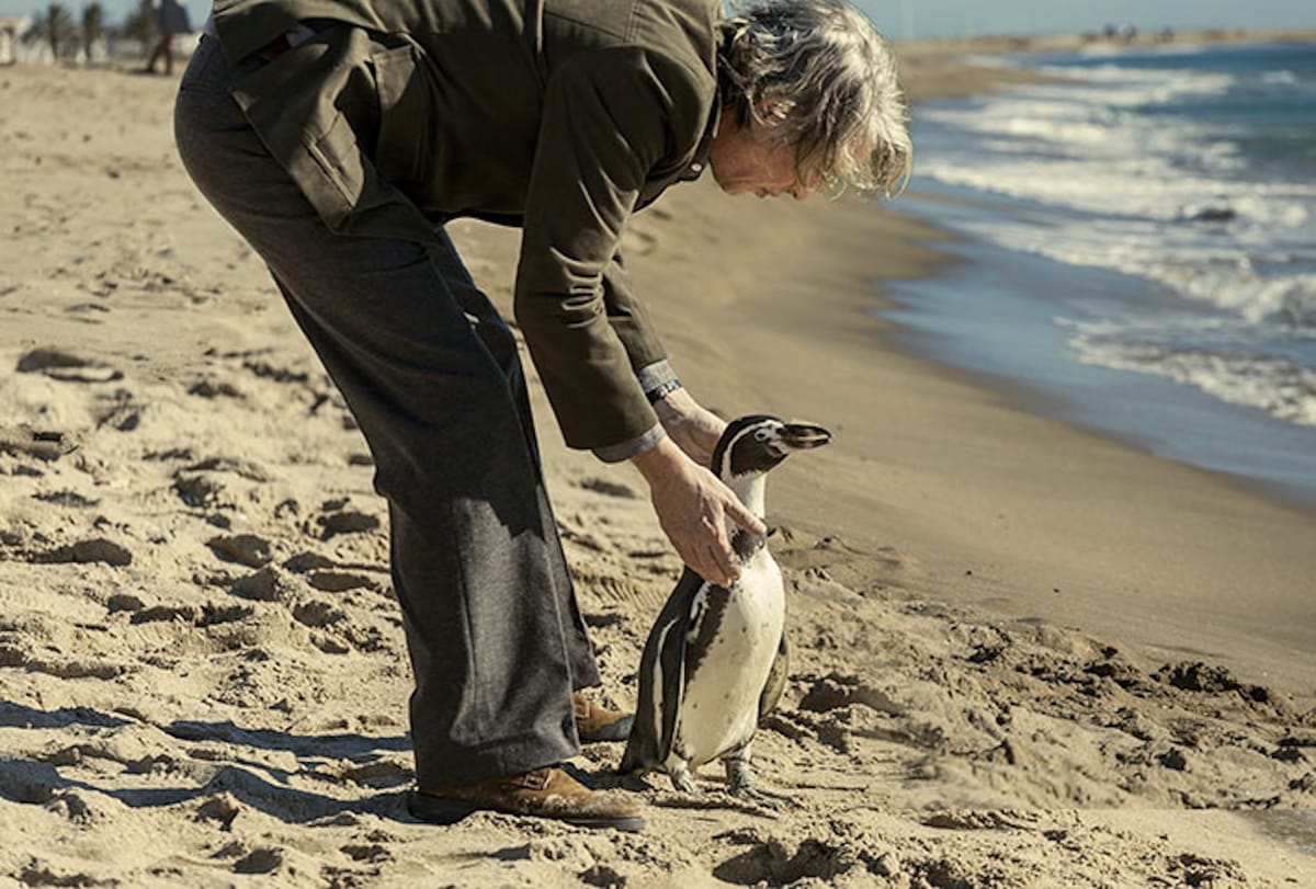 'The Penguin Lessons' Trailer Is Just as Adorable as We All Expected