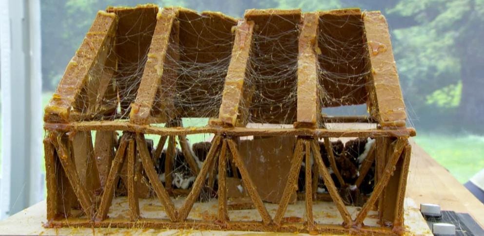 ‘The Great British Baking Show’ Season 5, Episode 8 Recap: Biscuit Week