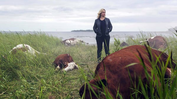 Where To Start With Walter's Choice/Walter Presents