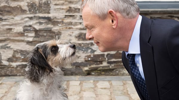 What To Watch Now 'Doc Martin' Has Ended
