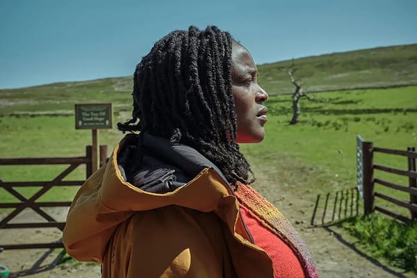 'Passenger' Fails To Resolve Anything in Its Final Episodes