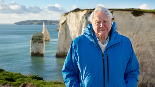 The 'Ocean with David Attenborough' Trailer Sees The Naturalist Unleashed